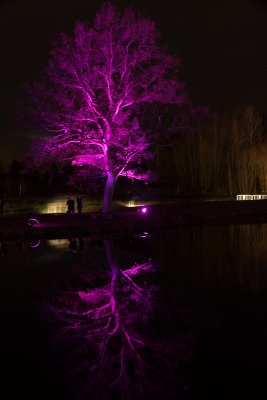 glowfest-1011.jpg