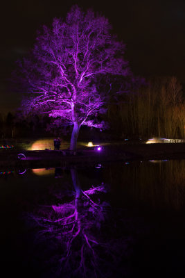 glowfest-1014.jpg