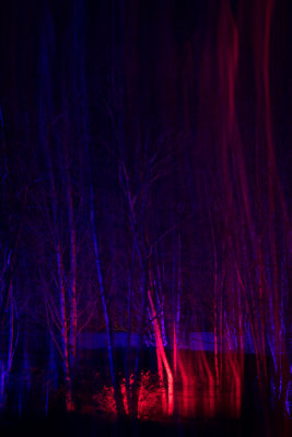 glowfest-1019.jpg