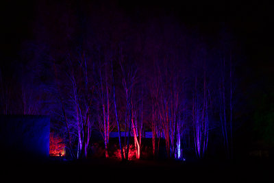 glowfest-1020.jpg