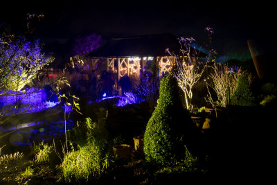 glowfest-1028.jpg