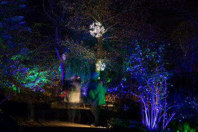 glowfest-1033.jpg