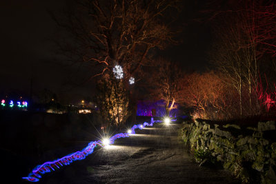 glowfest-1034.jpg