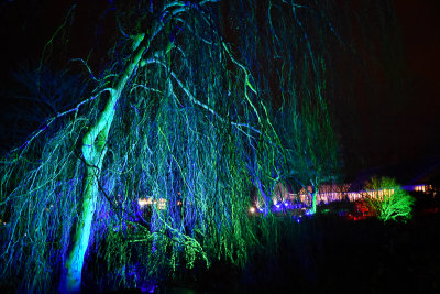 glowfest-1038.jpg