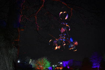 glowfest-1041.jpg