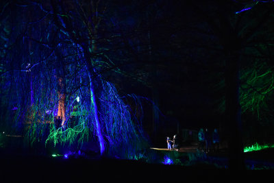 glowfest-1045.jpg