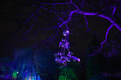 glowfest-1046.jpg