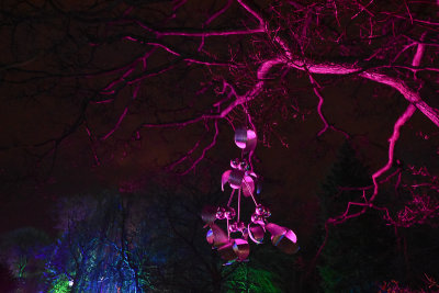 glowfest-1047.jpg