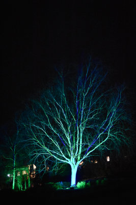 glowfest-1048.jpg