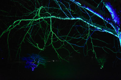 glowfest-1051.jpg