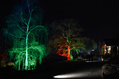 glowfest-1054.jpg
