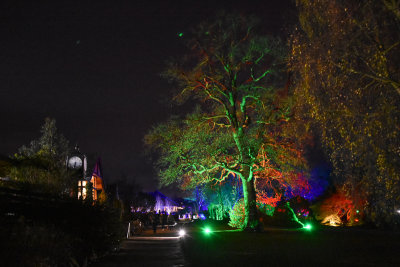 glowfest-1058.jpg