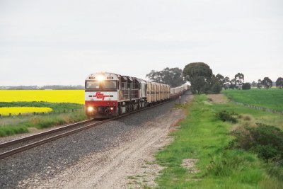 9752 at 0833.jpg