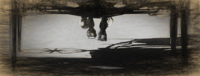 zz1757-1.jpg