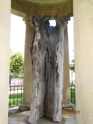 historic democratic assembly under the oak