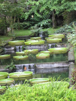 waterlily falls