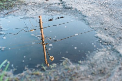 Reflection on a Puddle