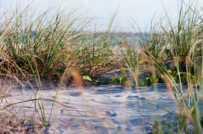 Dunes