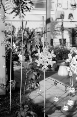 Colorless Test