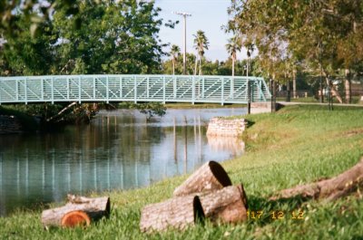 Sunrise Bridges