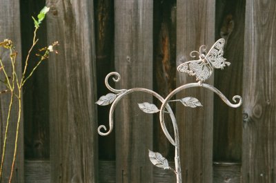 Wood and Metal