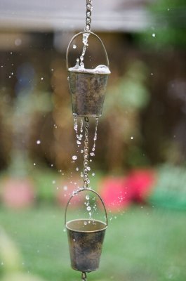 Bucket Full of Rain