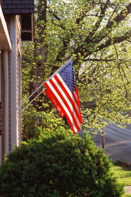 Flag in Spring