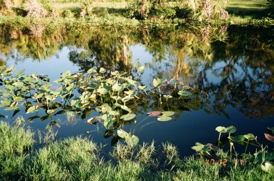 Reflections