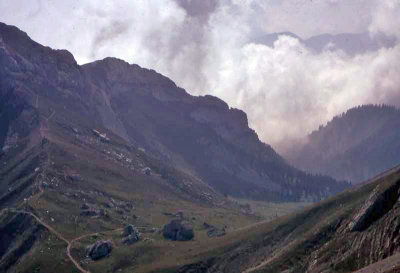 img259.jpg