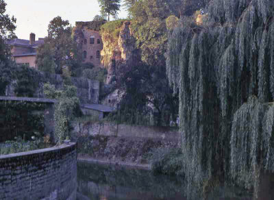 img267.jpg