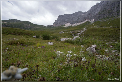 _MG_3225kopie.jpg