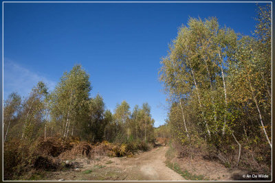 _MG_3703.jpg