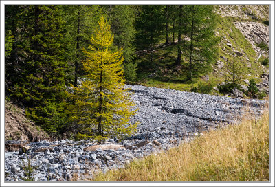 Around Obervinschgau - Lower Engadine 2016 - 2017