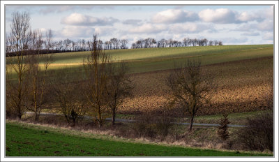 Winter Shadows 