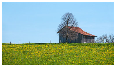 Another Barn ...