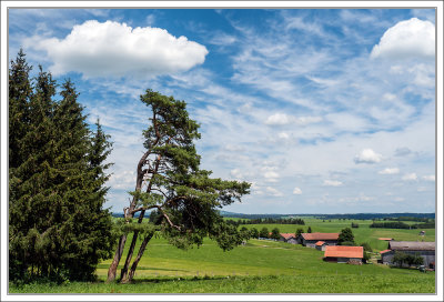 Farmlands ....