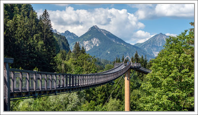 Tree-Top Walkway