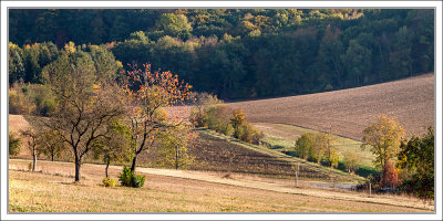 Autumn in Franconia