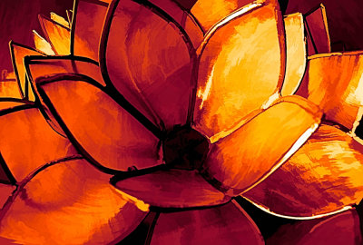 DSCF7337 1-Edit.jpg