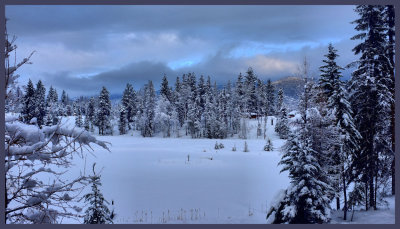 Christmas in Montana