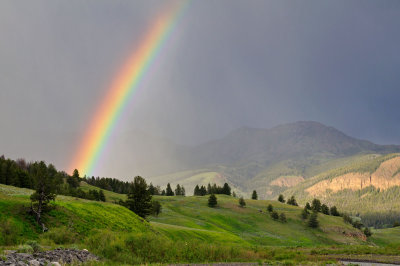 Lamar Valley Rainbow