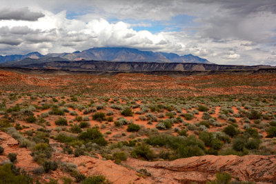 Red Cliffs Desert Reserve