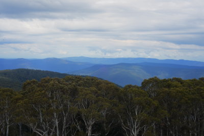 View from Mount Donna Buang