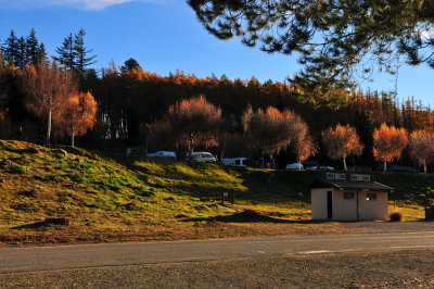 Lake Tekapo