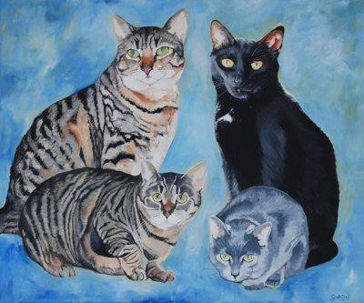 Dr.Ts cats