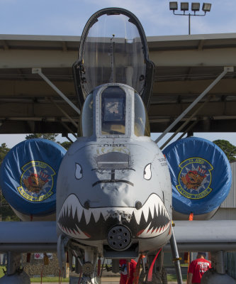 A-10 Thunderbold II (Warthog)