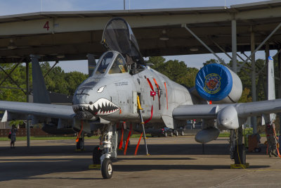 A-10 Thunderbold II (Warthog)