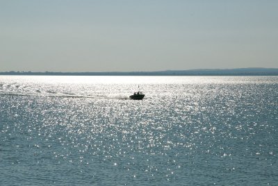 g10/37/699437/3/166644931.MXSzJSNz.jpg
