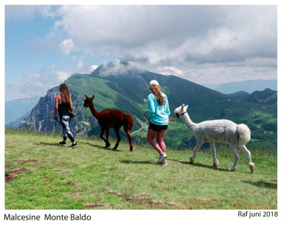 Alcapas on the Monte Baldo