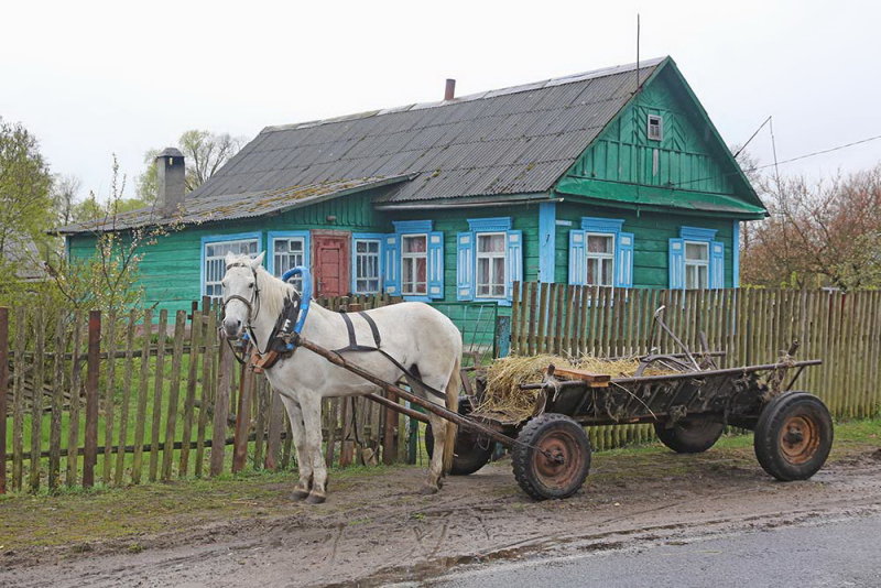 Horse-drawn carriage konjska vprega_IMG_4064-111.jpg